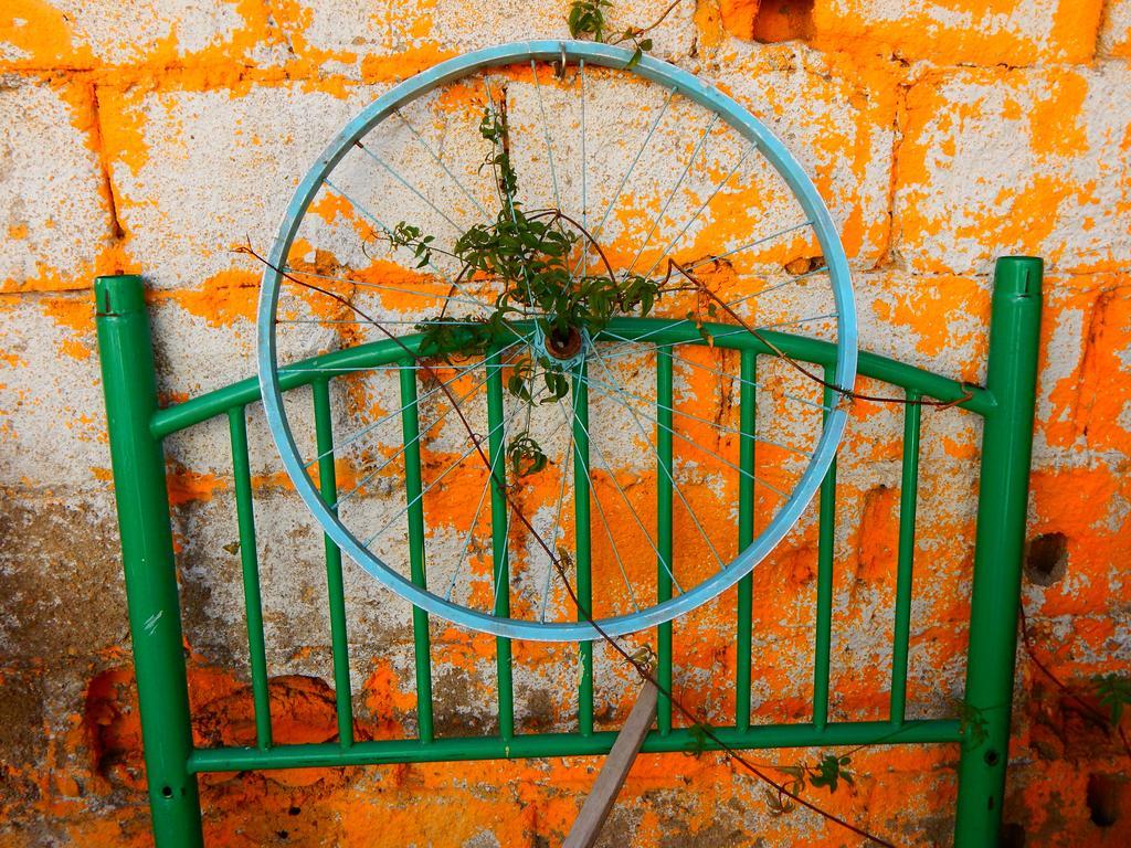 Street Garden Hostel فينيا ديل مار المظهر الخارجي الصورة