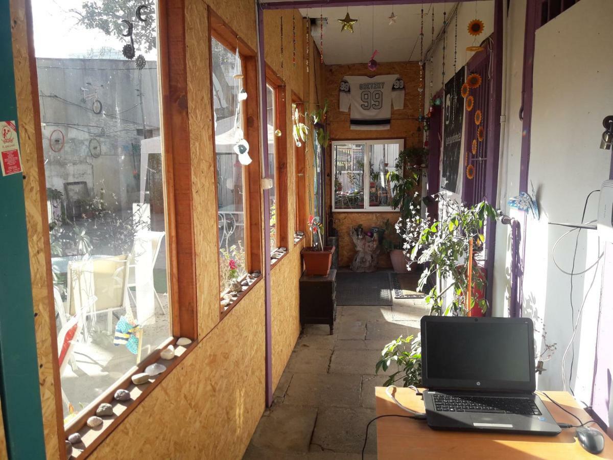Street Garden Hostel فينيا ديل مار المظهر الخارجي الصورة